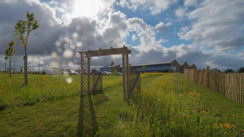 Construction : et si la biodiversité faisait partie des plans ?