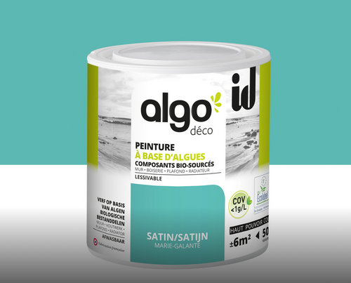 Algo, la peinture militante